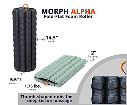 Brazyn Morph Foam Roller (Alpha-Sage): Collapsible Travel Foam Roller for Back Pain Relief, Workout Muscle Recovery, Back Massager, Deep Tissue Leg Massage, Back Cracker, Stretcher; Small, Portable