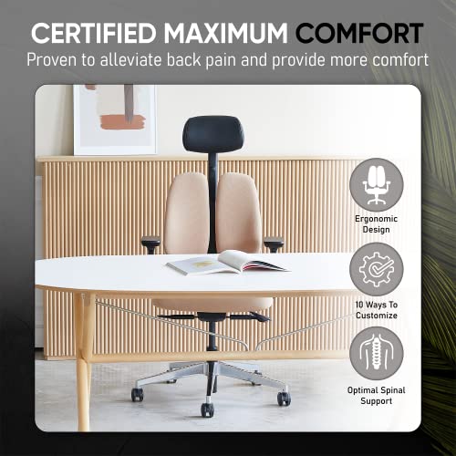 Duorest Gold Renewal - Ergonomic Dual Backrests, Home Office Desk Chairs, Office Chair Back Support, Best Office Chair for Posture, Executive Office Chair (Frame: Black/Seat: Beige)