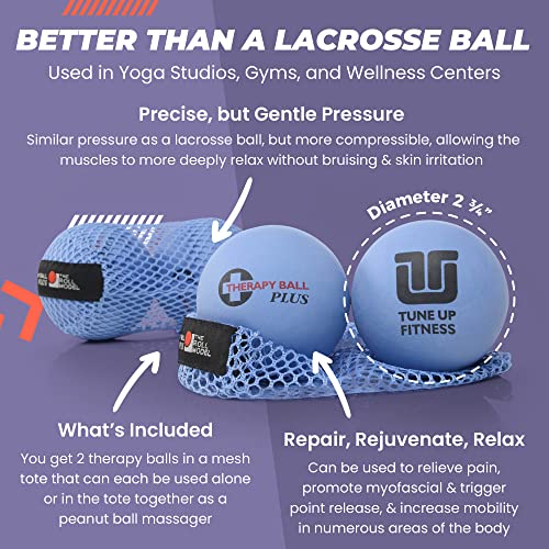 Tune Up Fitness – Therapy Ball PLUS Pair in Tote | Lacrosse Ball Upgrade - Massage Therapy Balls for Myofascial Release | Neck, Lower Back Pain, Sciatica, Shoulder Tension Relief, Physical Therapy