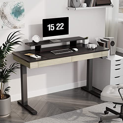 EUREKA ERGONOMIC Electric Standing Desk with Drawers, 55 Inch Dual Motor Height Adjustable Stand up Desk for Home Office with Built-in Outlet, Wireless Charger, USB Port, Whole-Piece Desktop, Oak Grey